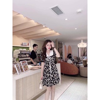 Váy cúc hoạ mi cổ trắng