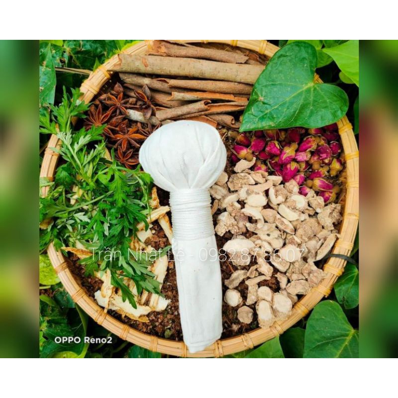 CÂY MUỐI THẢO DƯỢC