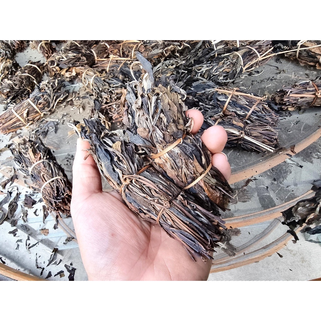 Trà Chít  -  Trà Shan Tuyết hữu cơ - Bloombean