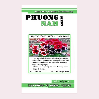 10H - HẠT GIỐNG HOA TỬ LA LAN