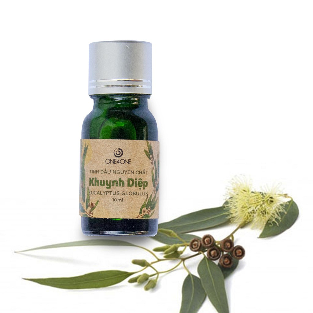 Tinh Dầu Khuynh Diệp - Bạch Đàn Thiên Nhiên Nguyên Chất 100% One4One 10ml - 50ml - Eucalyptus Essential Oil