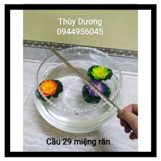Bể cá miệng răn cỡ 29