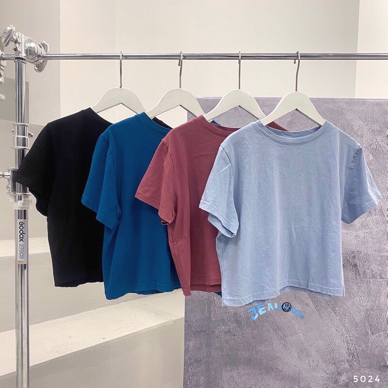 Áo thun nữ, áo phông croptop trơn mác dress you 5024