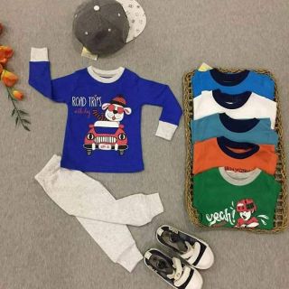 bộ cotton borip ( 12-14kg)