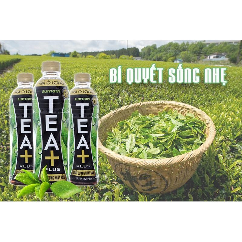 Lốc 6 Chai Trà Olong Tea Plus 455ml*6