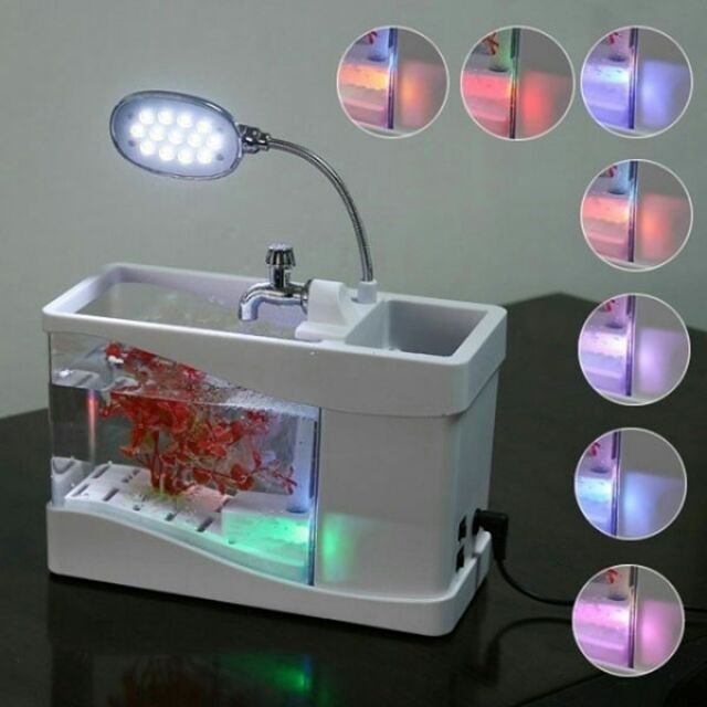 BỂ CÁ MINI USB ĐỂ BÀN THÔNG MINH | BigBuy360 - bigbuy360.vn