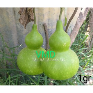 Hạt giống Bầu Hồ Lô