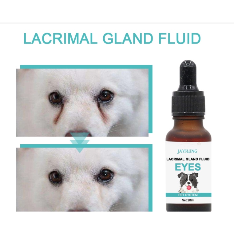 Siro ngăn ngừa chảy nước mắt ở chó mèo Lacrimal 20ml