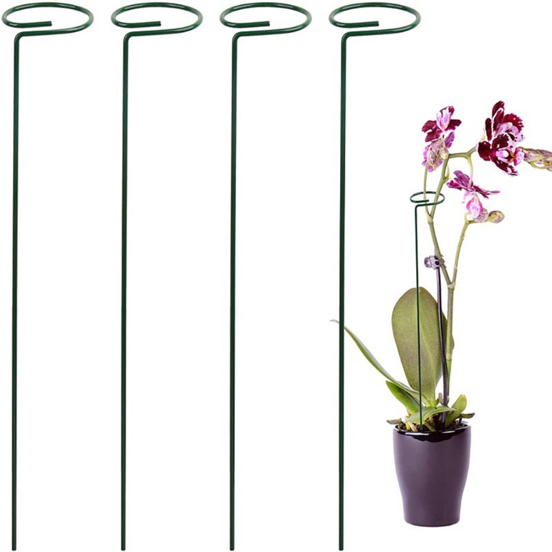 Giá đỡ hỗ trợ trồng hoa lan bằng kim loại tiện dụng cho sân vườn