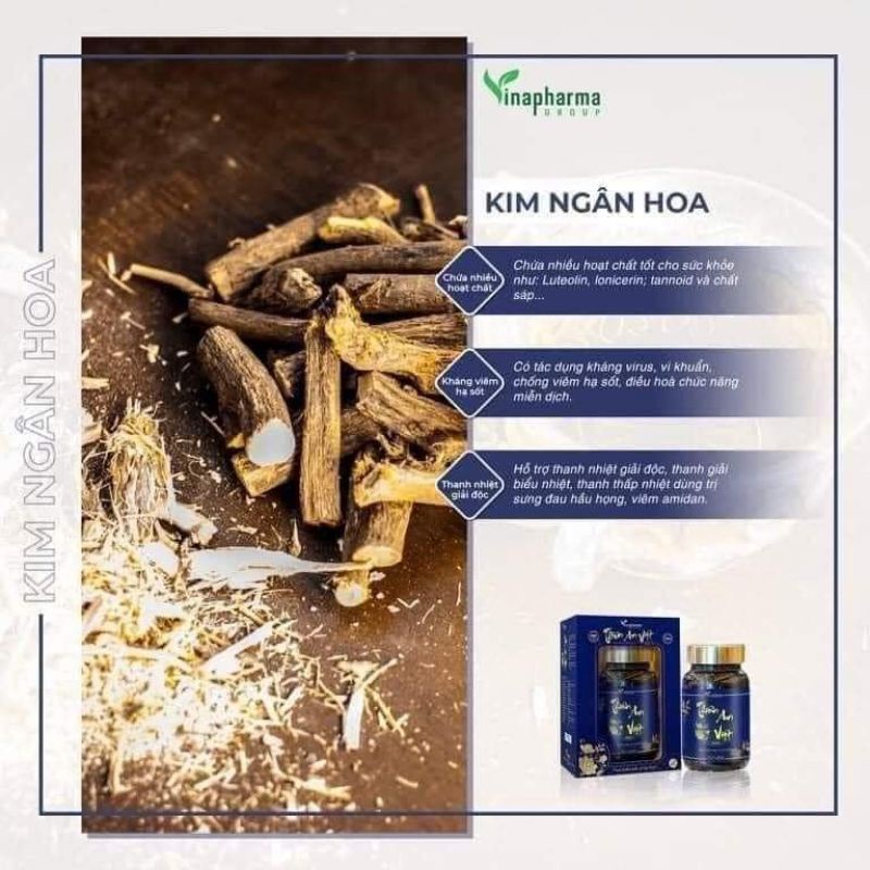 Thiên An Việt _ VInapharma Group