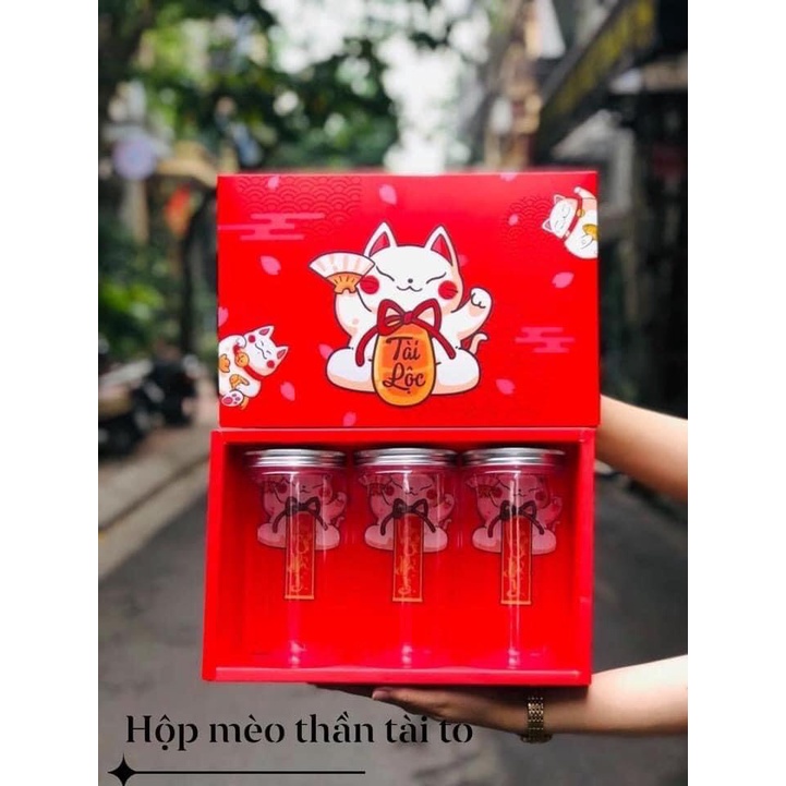 Hộp Tết Mèo Thần Tài To ( Kích thước : 29*18.5*9.5cm )