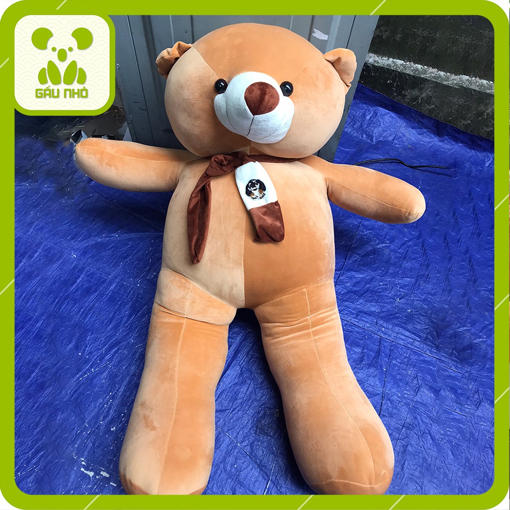 Gấu Bông Teddy Khăn Siêu Mềm Mịn CAO CẤP - GẤU NHỎ