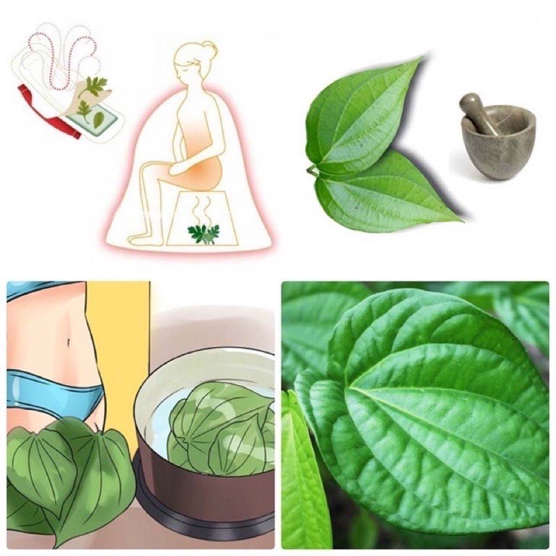 100g Bột lá trầu không giảm mụn tàn nhang nám dưỡng trắng da trắng nguyên chất handmade