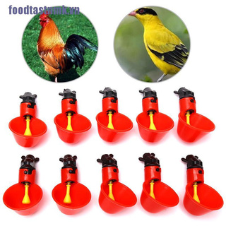 Set 10 máng uống nước tự động để nuôi gà gia súc tiện lợi