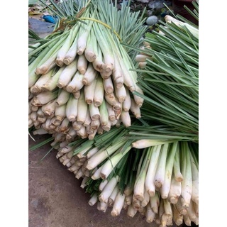 Sả tươi (5 cây)