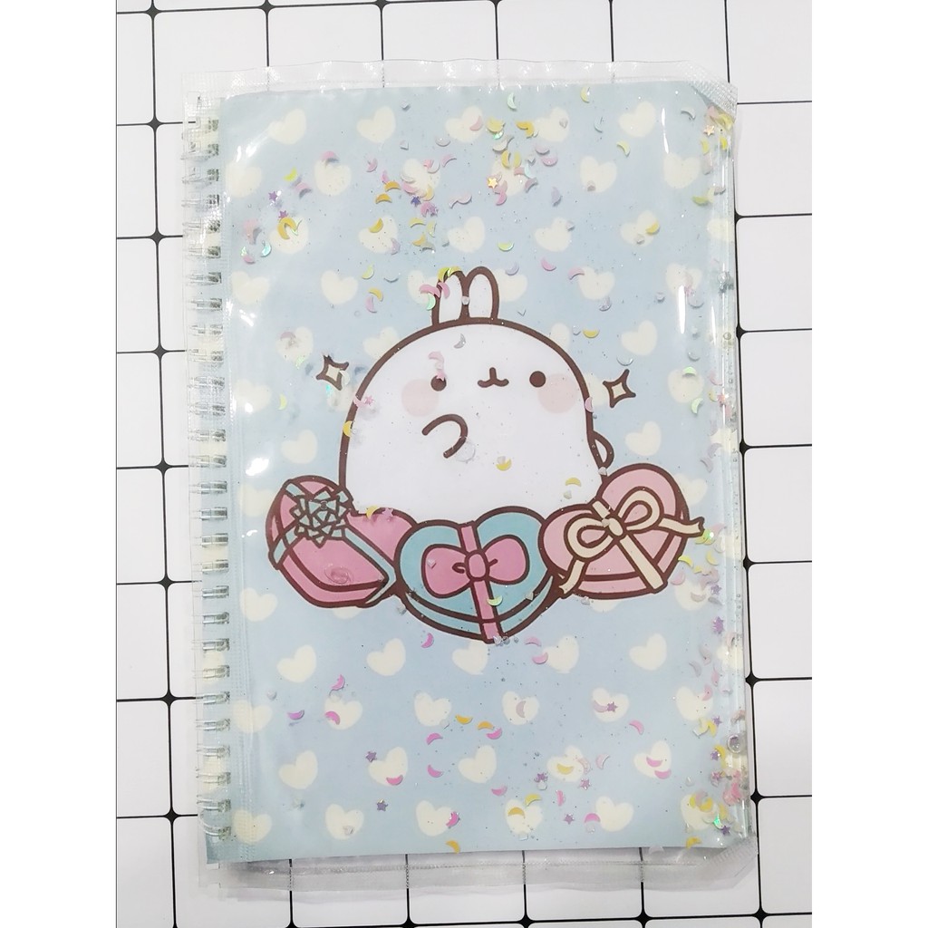 Sổ lò xo kim tuyến molang SLK6 60 trang 17x25cm