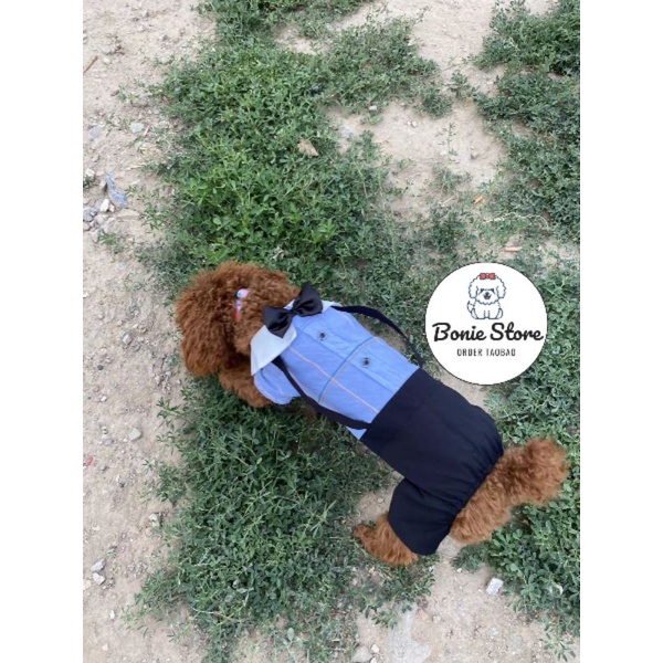 Áo Váy Cho Chó Mèo Thú Cưng Đính Nơ Kiểu Áo Yếm Dễ Thương Lịch Sự