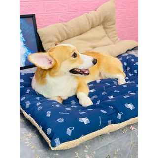 NỆM CHO CHÓ LỚN NẰM