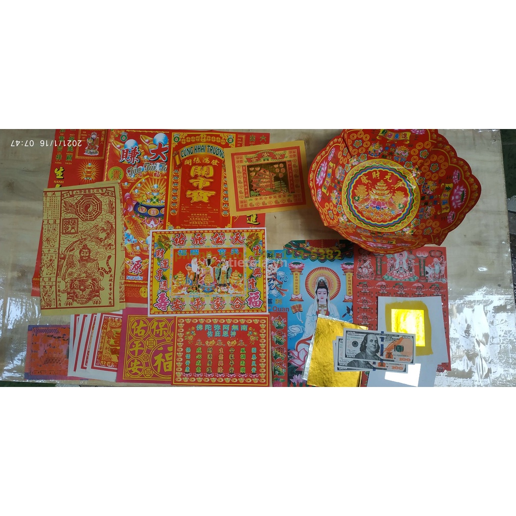 1 CÂY GIẤY TIỀN VÀNG MÃ NHÁM /LÁNG: TIỀN VÀNG /TRẮNG - THIÊN KHỐ - VÃNG SANH - THANH Y