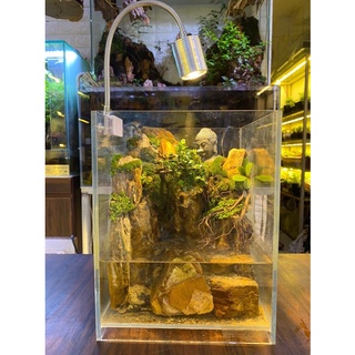 Đèn led rọi hồ cá, đèn led terrarium