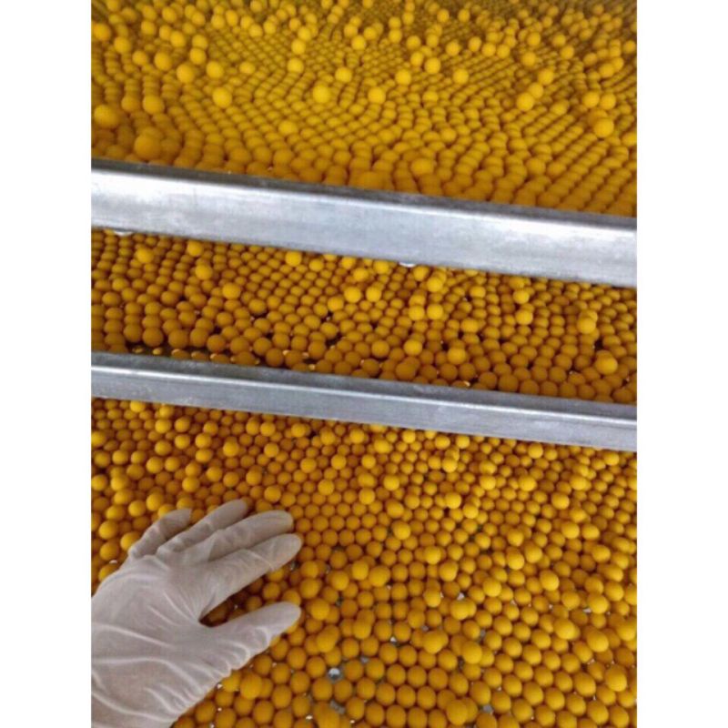 Viên Nghệ Mật Ong Sữa Ong Chúa Hũ 500g