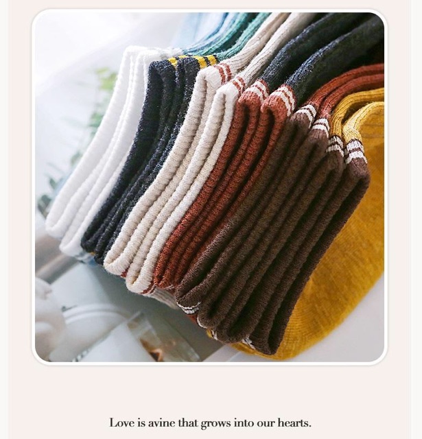 Tất nữ (vớ nữ) cotton cao cấp kháng khuẩn hàng nhập