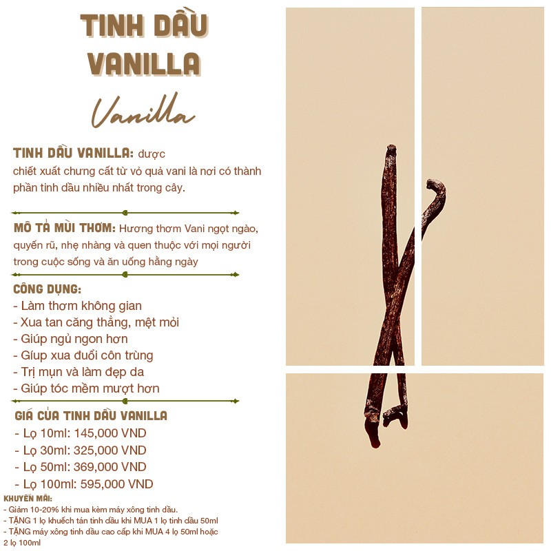 Tinh dầu Vanilla | Tinh dầu thiên nhiên nguyên chất