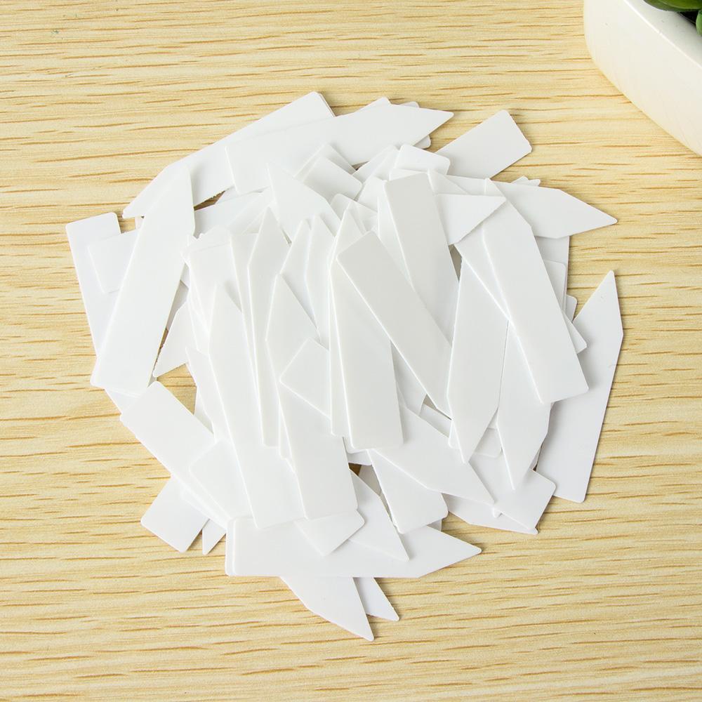 100 Hạt Giống Cây Chống Thấm Nước