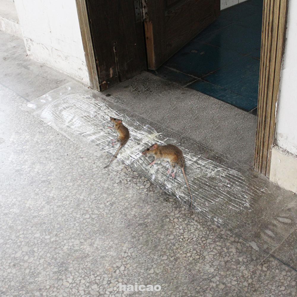 Transparent Waterproof Moisture-proof PVC Family Factory Sticky Mouse