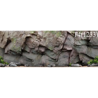 Tranh 3d bể cá