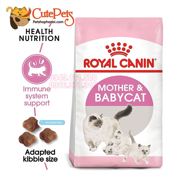 Hạt Royal Canin BabyCat 34 400gr Thức ăn mèo con 1- 4 tháng - Phụ Kiện Thú Cưng