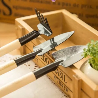 Bộ dụng cụ chăm sóc cây tiểu cảnh