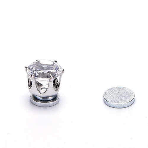 Hoa tai nam châm cho nam và nữ