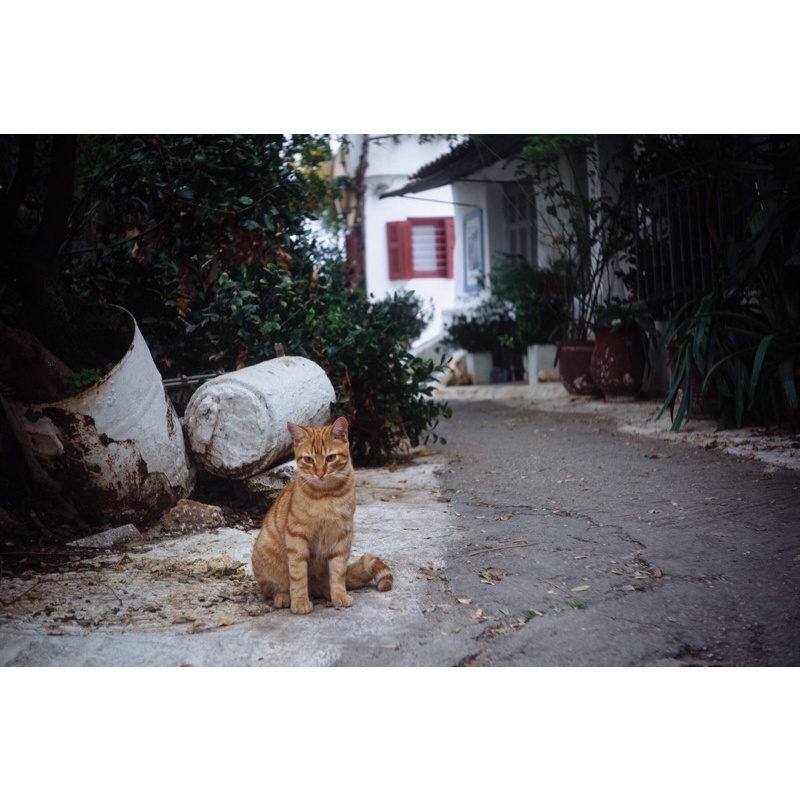 Ống kính MF industar 50-2 50/3.5 pancake