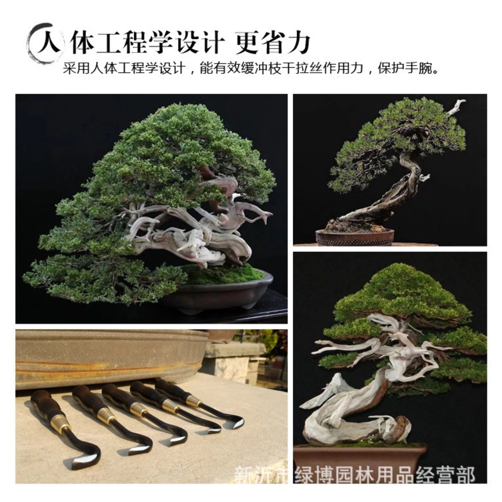 Bộ đục bonsai dũa thân cây, tạo lũa bonsai