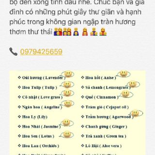 [XẢ KHO GIẢM GIÁ 3 NGÀY] [FLASHSALE] ĐÈN NGỦ CẮM TƯỜNG XÔNG TINH DẦU