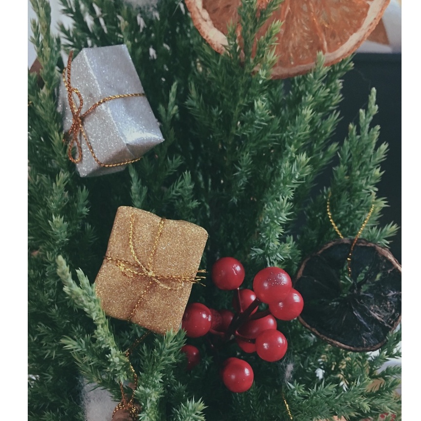 Set 6 hộp quà mini trang trí treo cây thông noel - trang trí giáng sinh 2023
