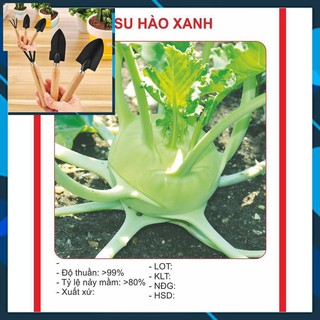Hạt Giống Su Hào Xanh 0.5gr ~ 100 hạt TẶNG BỘ LÀM VƯƠN MINI