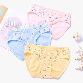 Combo 3 áo 5 quần lót bầu
