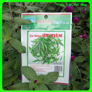Hạt Giống Ớt Xiêm Xanh Phú Nông - Gói 0,1g