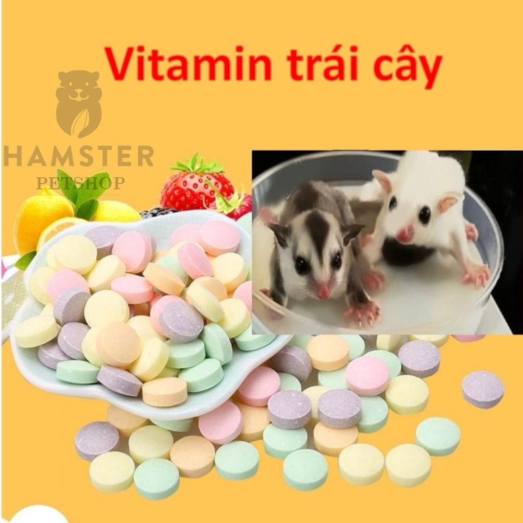 Viên uống bổ sung vitamin trái cây 5 loại cho hamster