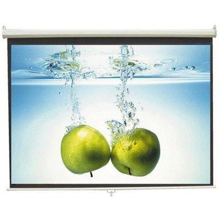 Màn chiếu treo tường Eco Screen P96WS