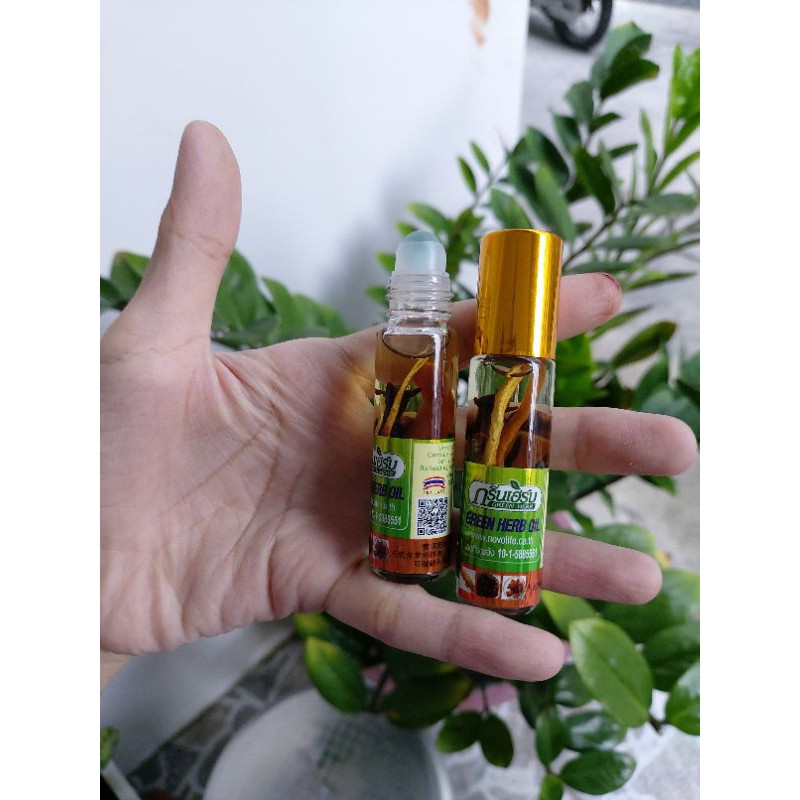 Dầu Lăn Thảo Dược Nhân Sâm Green Herb Oil 8ml Thái Lan chính hãng