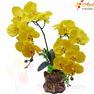 chậu lan giả cao cấp vàng