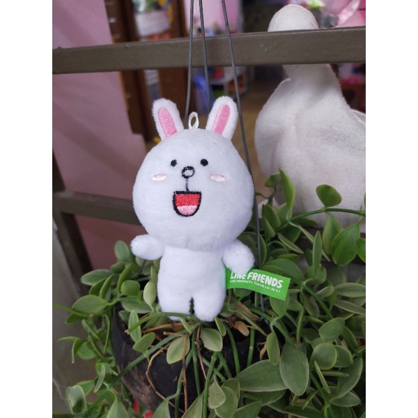 Gấu nhí size 10 - 15cm, hàng kiện Nhật, Hàn đồng giá 20k🥰🥰🥰