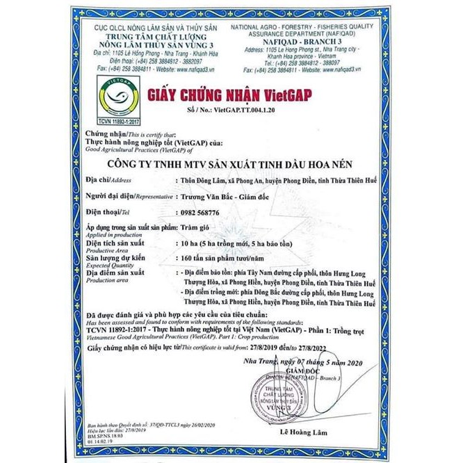 Tinh dầu Tràm Huế nguyên chất Hoa Nén - Chuẩn VietGAP - Chăm sóc sức khỏe bé - 50ml