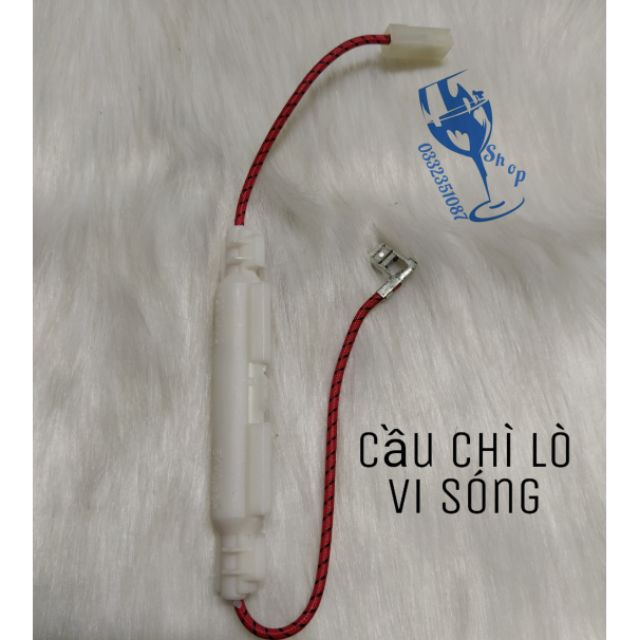 Cầu chì lò vi sóng có vỏ + cầu chì bên trong