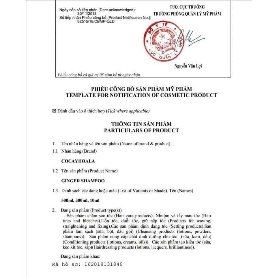 Combo Dầu gội và dầu xả gừng tươi nguyên chất 100% | BigBuy360 - bigbuy360.vn