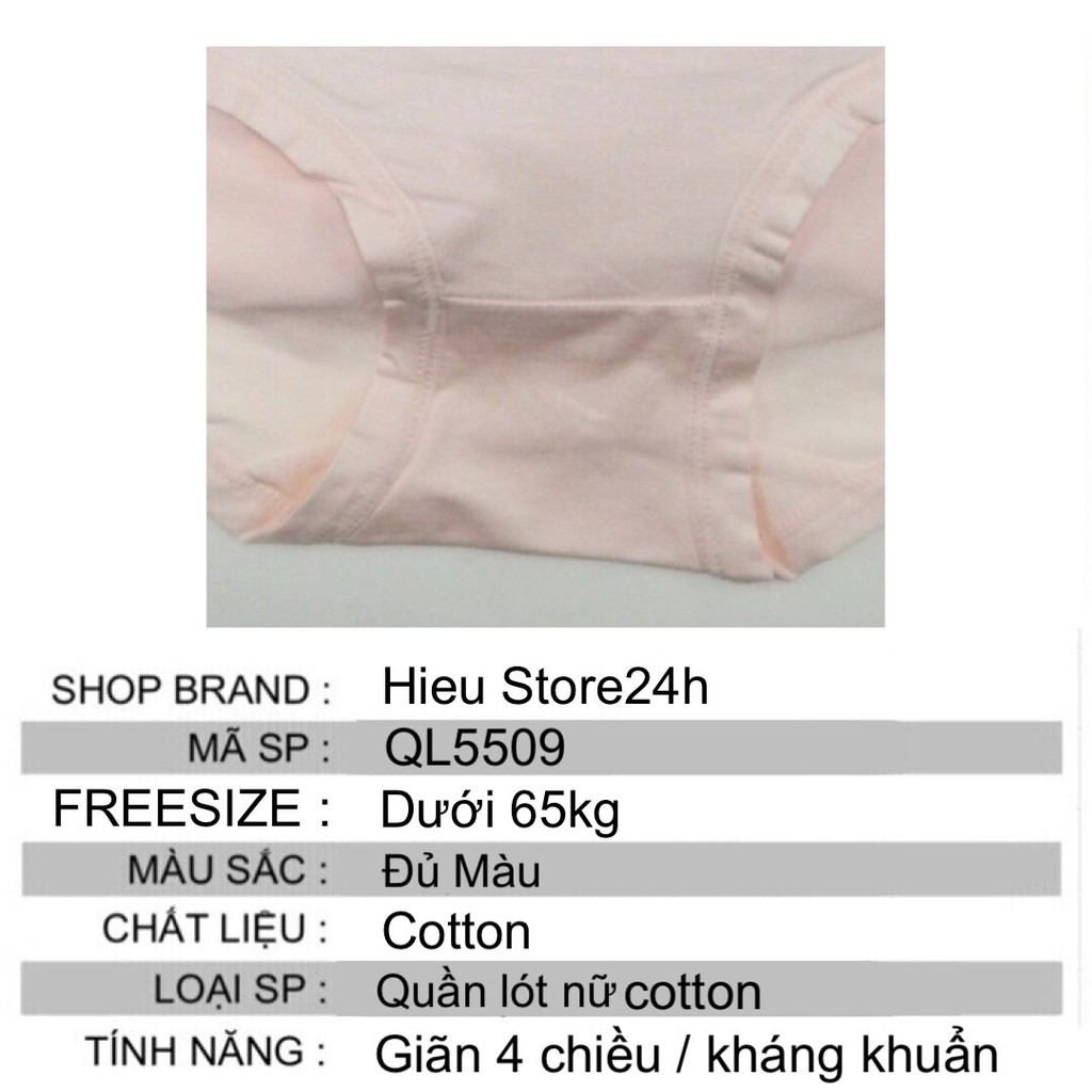 Combo Quần Lót Nữ Cotton 100% Thấm Hút Tốt Lưng Cao Mềm Mại Hieu Store24h - 5509