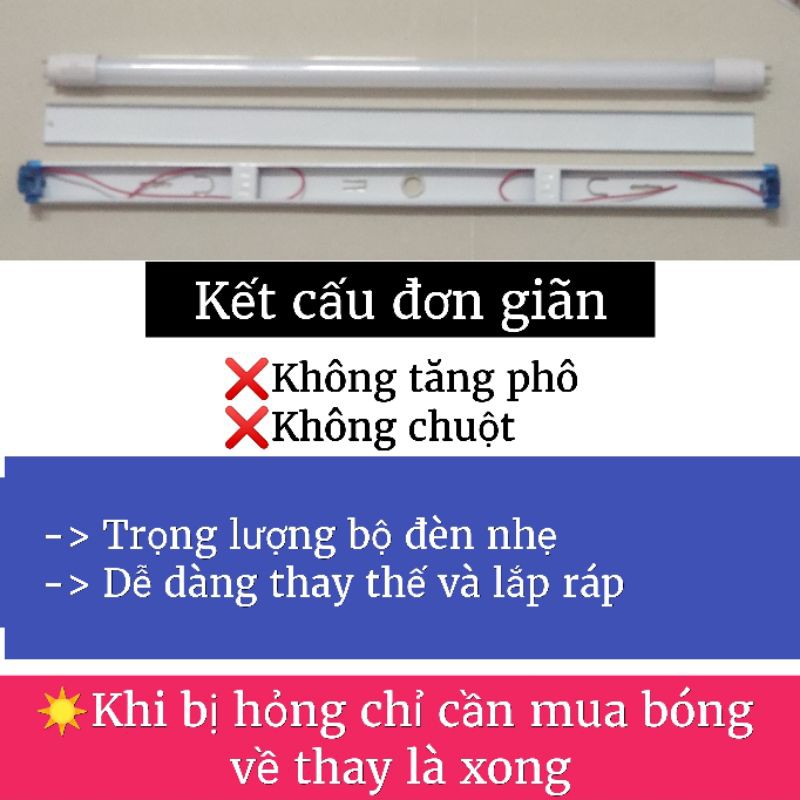 Bộ máng và Bóng đèn LED T8 6 tất (0.6m) 11W